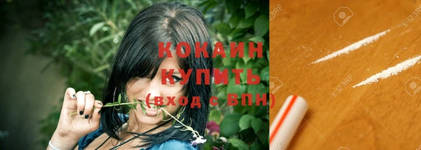 PSILOCYBIN Аркадак