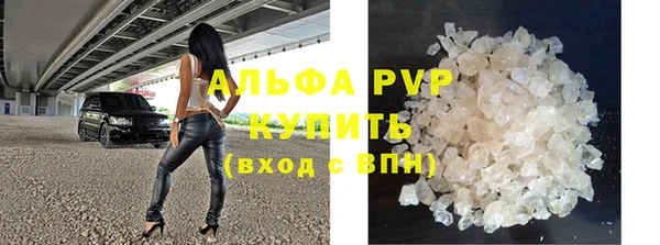 PSILOCYBIN Аркадак