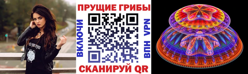 Псилоцибиновые грибы мицелий  магазин    Певек 